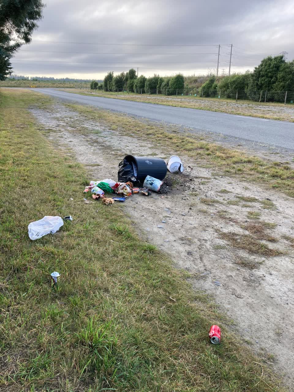 The photograph attached to this rubbish/recycling report