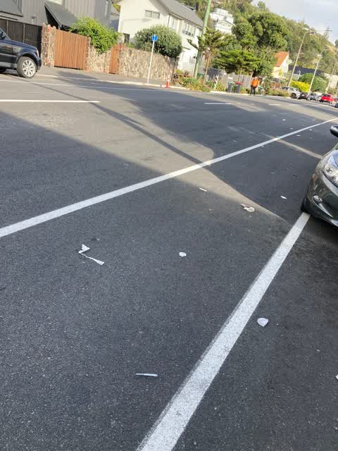 Rubbish/Recycling, a report photo