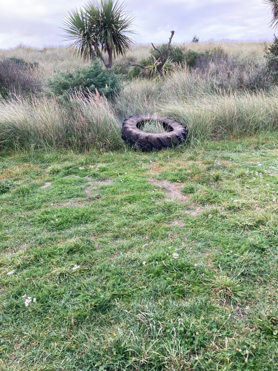 The photograph attached to this parks report