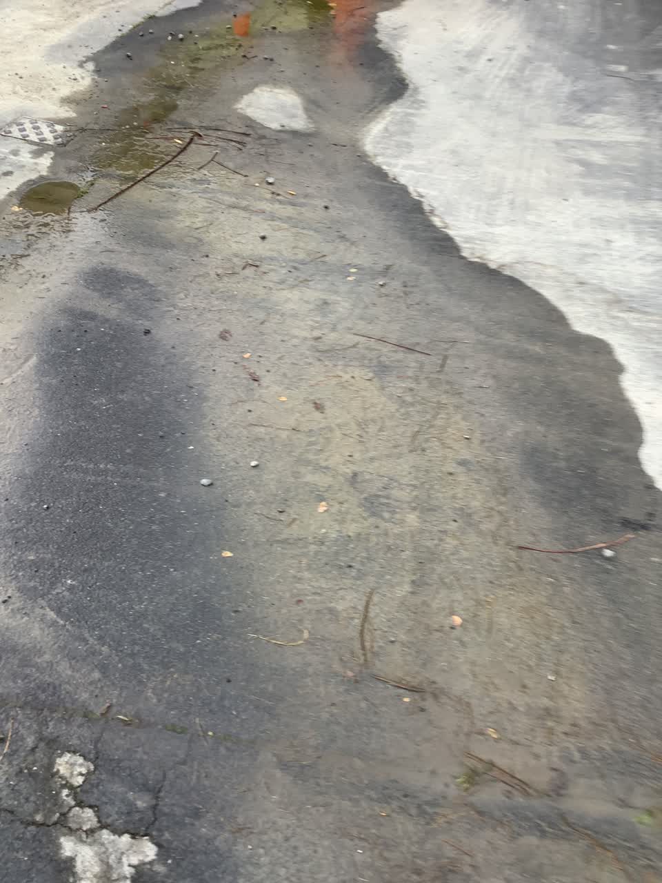 The photograph attached to this water leak report