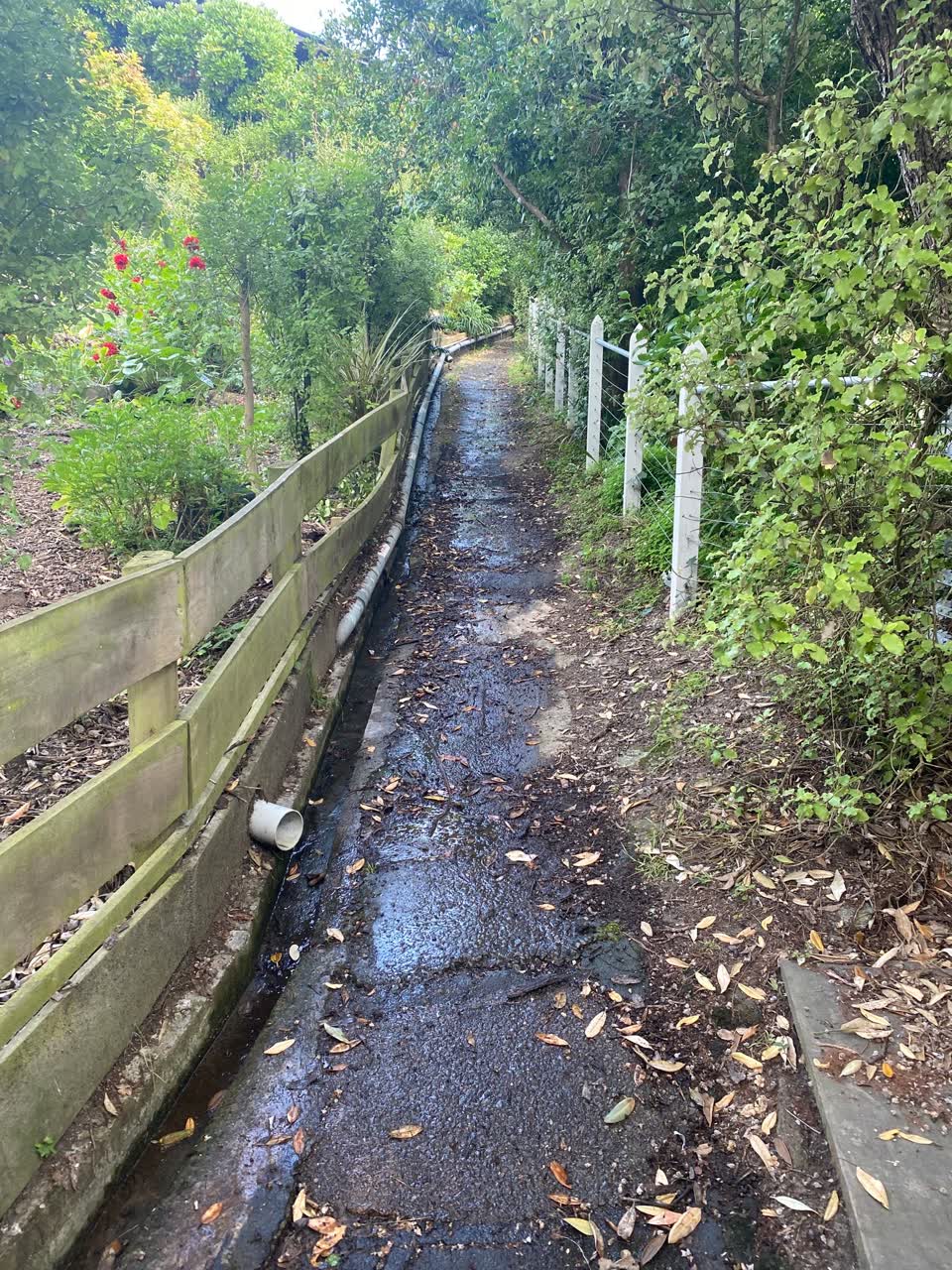 The photograph attached to this water leak report
