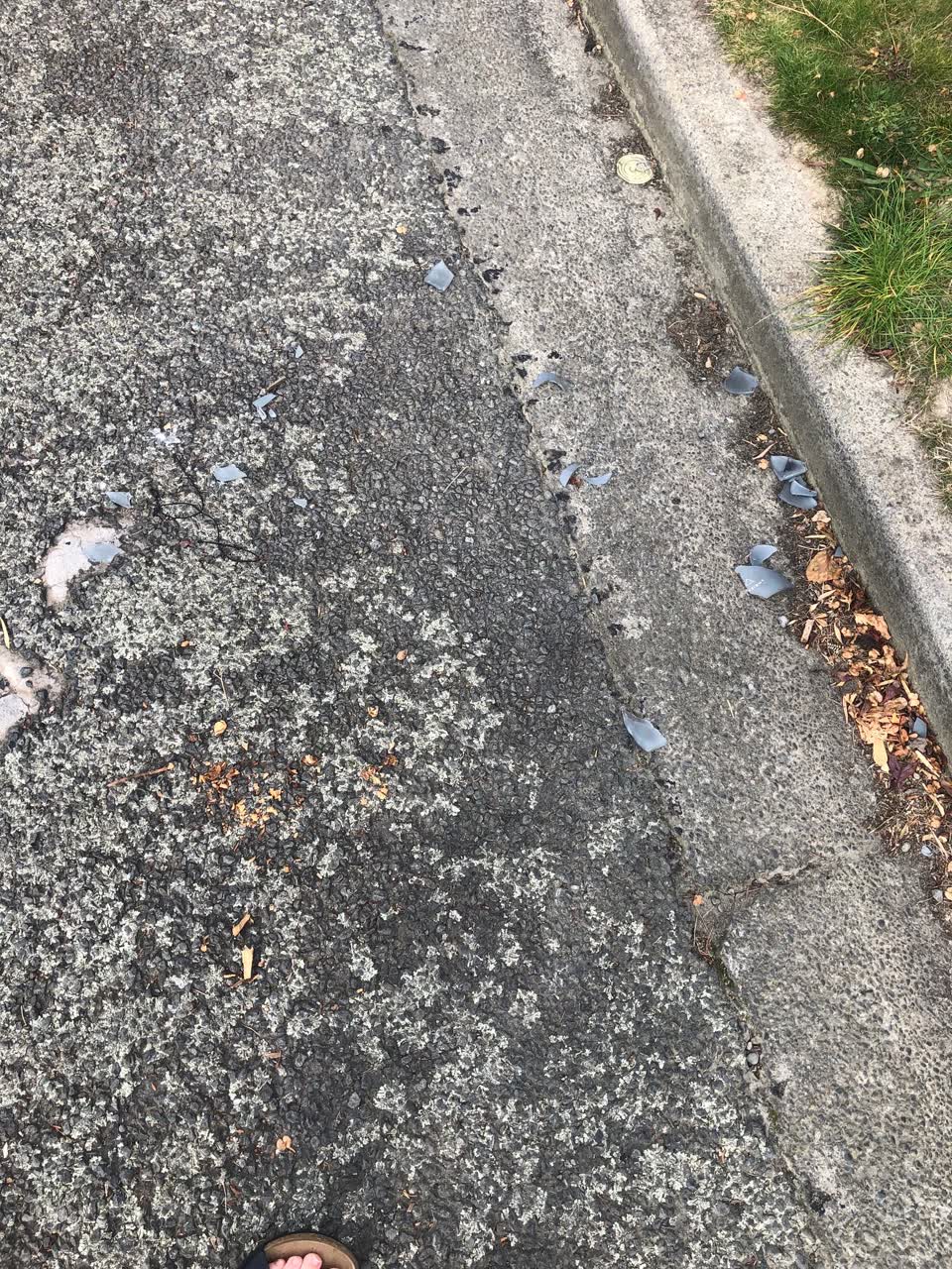 The photograph attached to this rubbish/recycling report