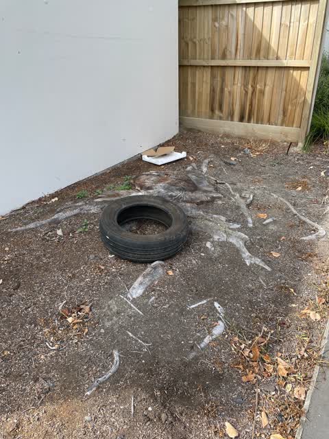 Rubbish/Recycling, a report photo