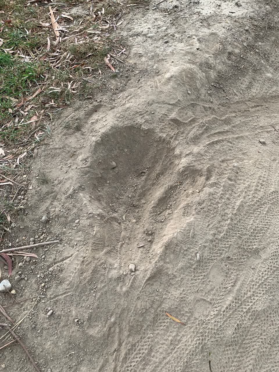 The photograph attached to this parks report