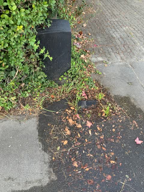 Water Leak, a report photo