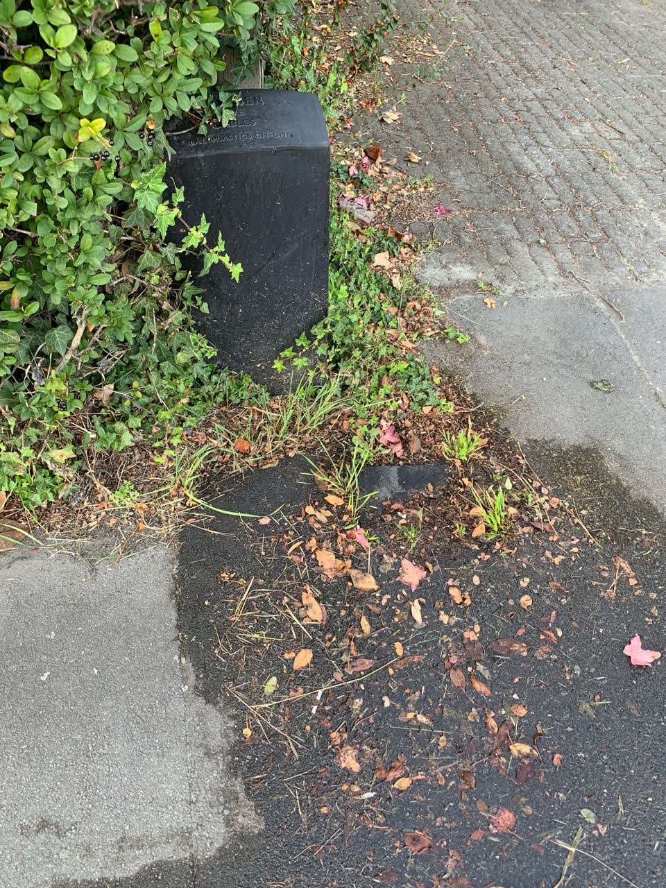 The photograph attached to this water leak report