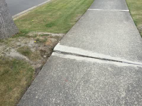Roading/Streets, a report photo
