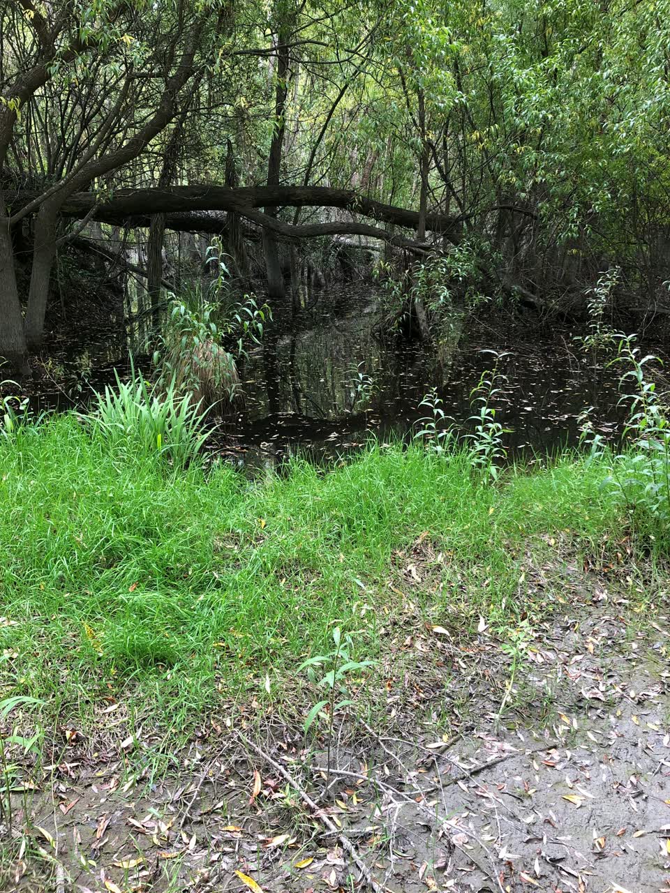 The photograph attached to this parks report