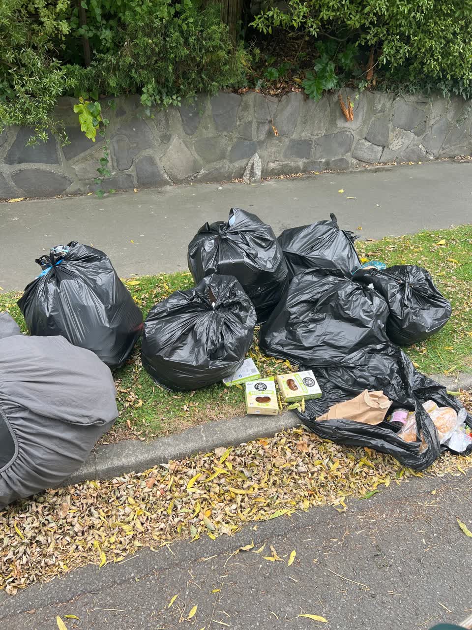 The photograph attached to this rubbish/recycling report