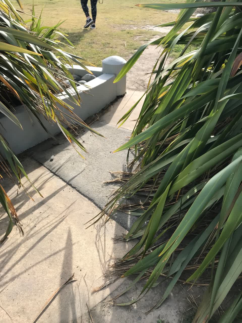 The photograph attached to this parks report