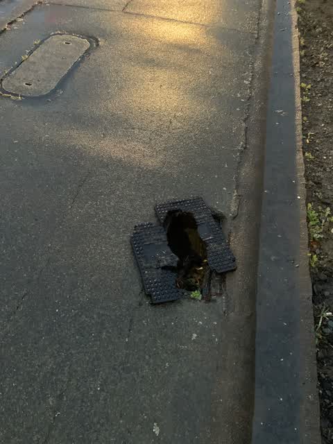 Roading/Streets, a report photo