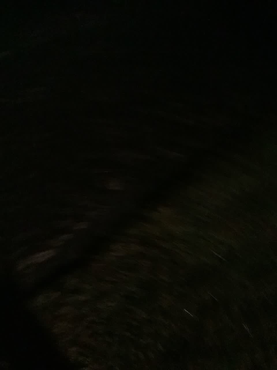 The photograph attached to this water leak report