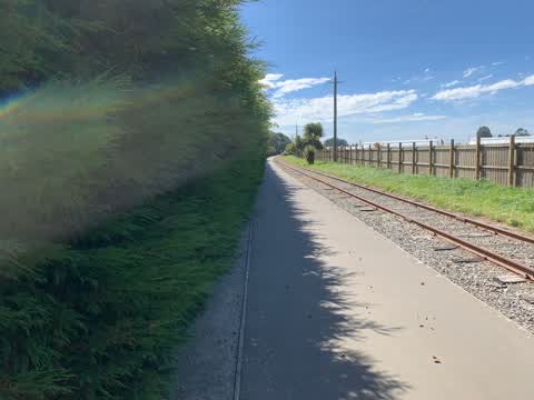 General Request, a report photo