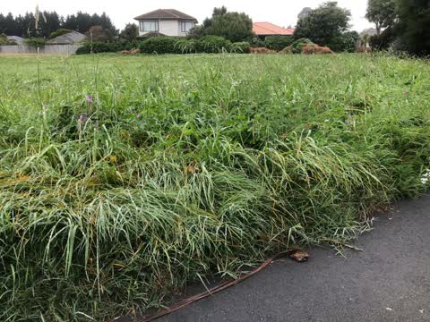 Parks, a report photo