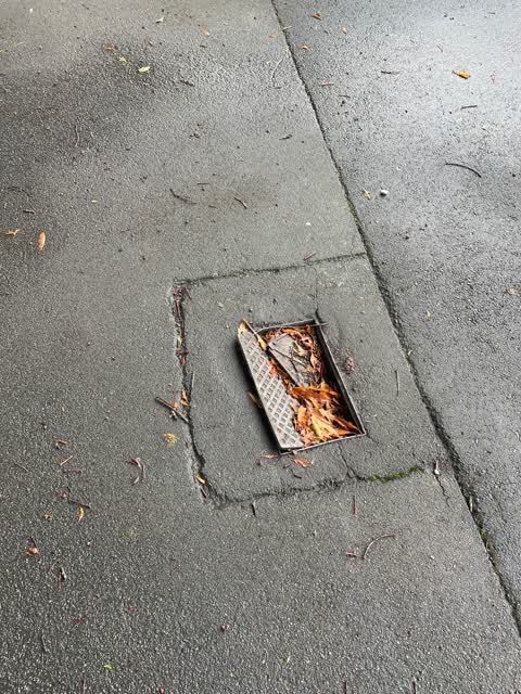 Roading/Streets — a report photo