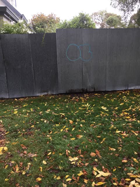 Graffiti — a report photo