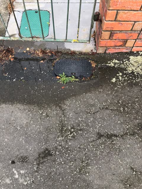 Water Leak, a report photo