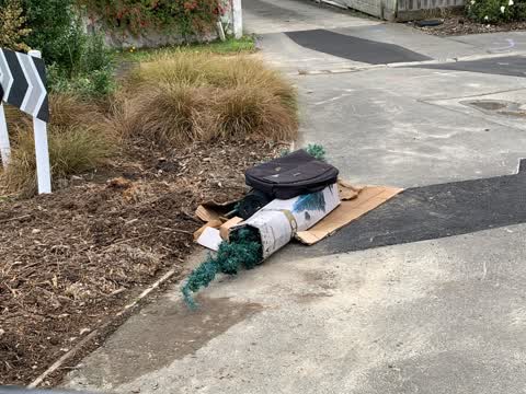 Rubbish/Recycling, a report photo