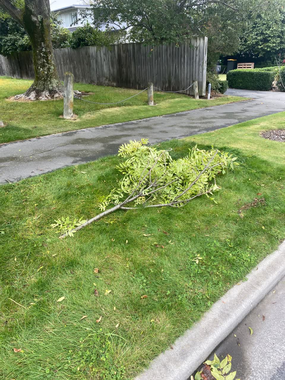 The photograph attached to this parks report