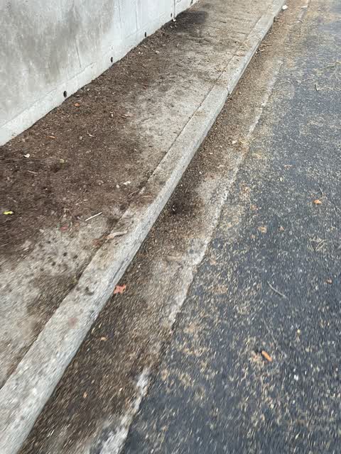 Roading/Streets — a report photo