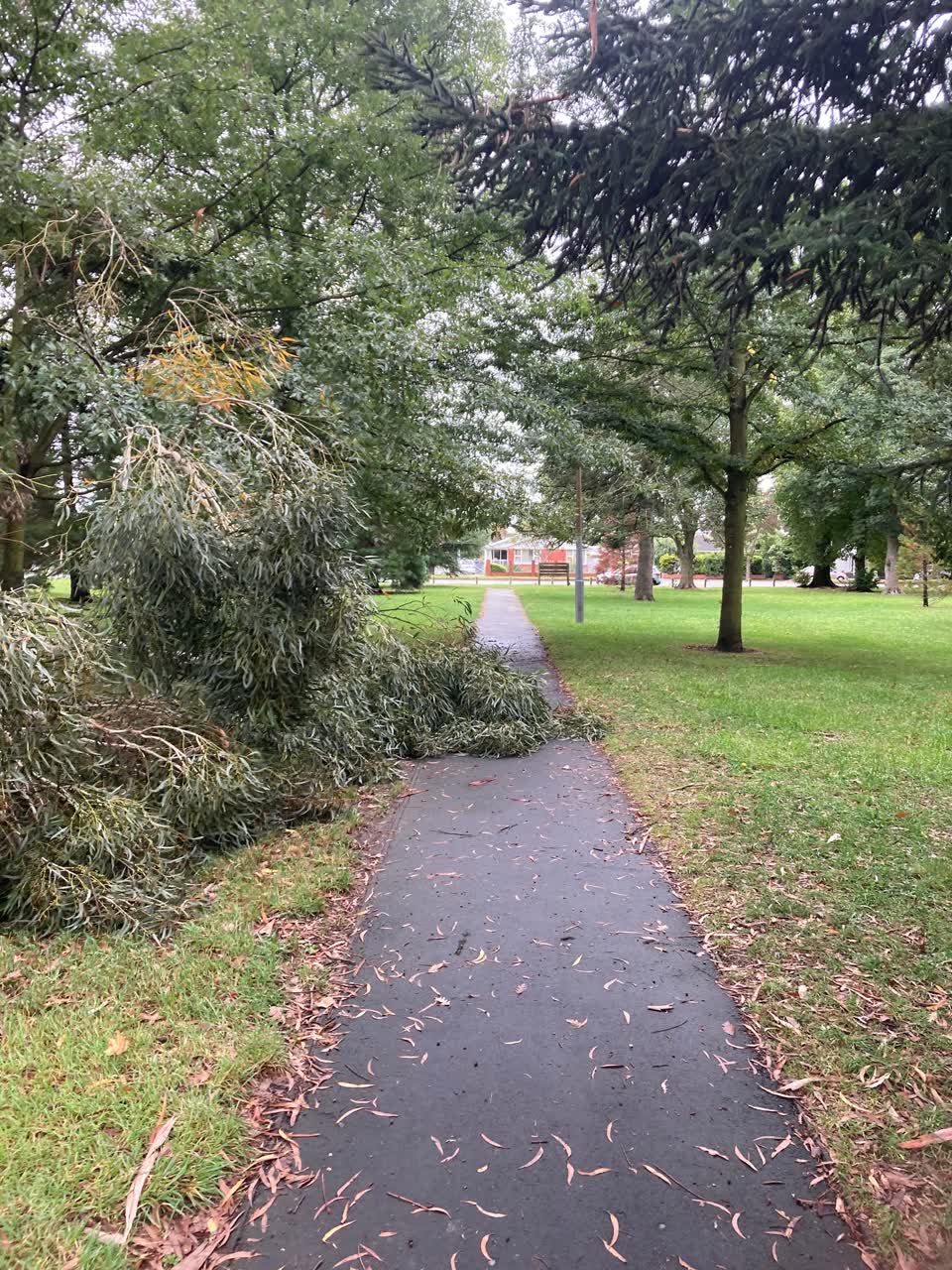 The photograph attached to this parks report