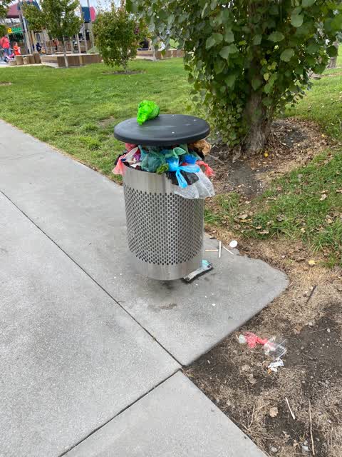 Rubbish/Recycling — a report photo