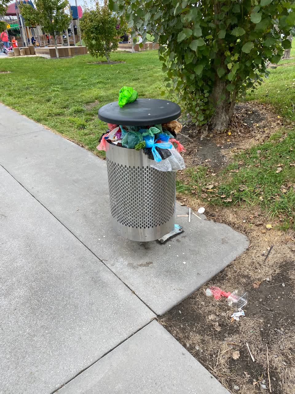 The photograph attached to this rubbish/recycling report