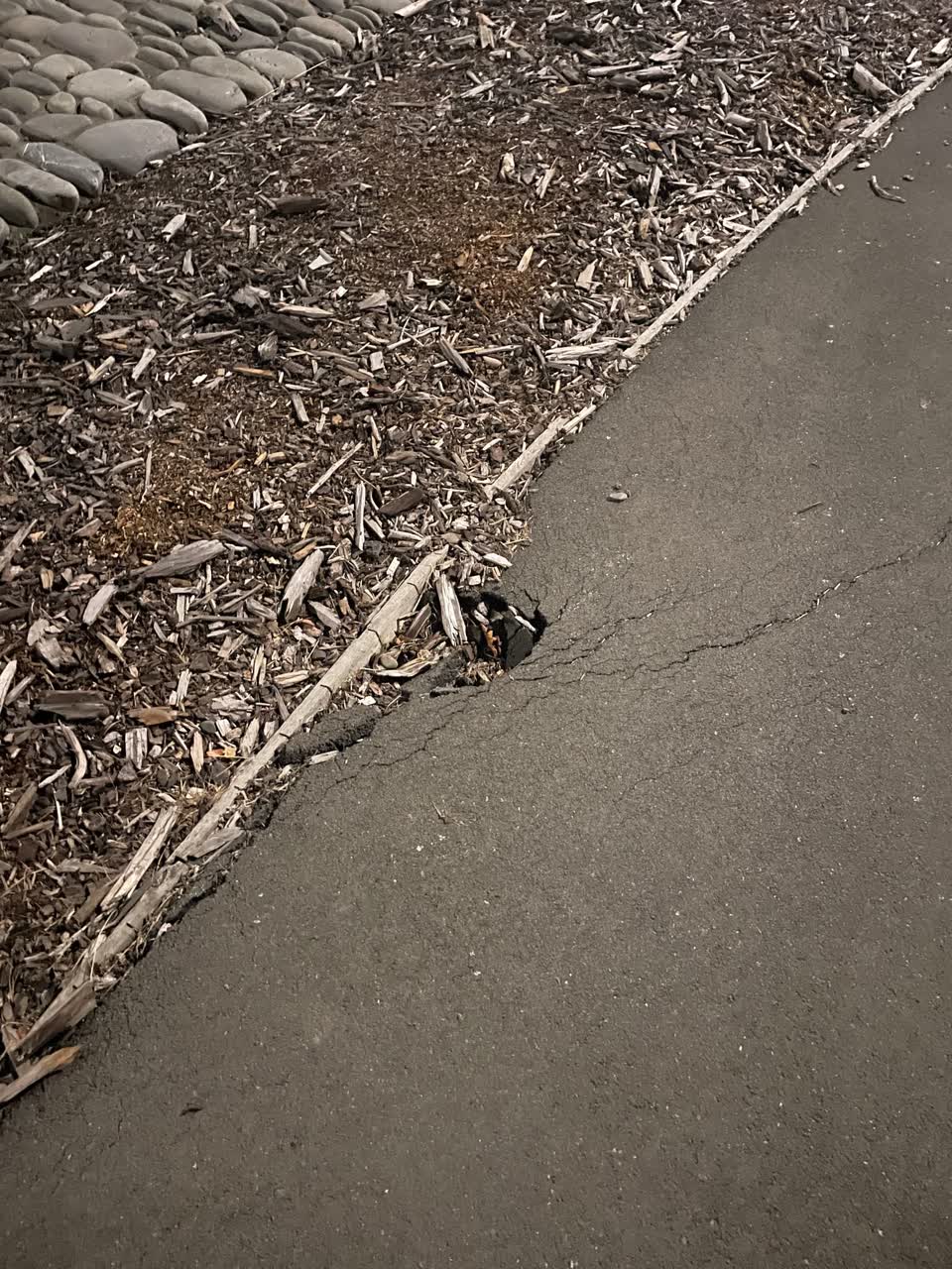 The photograph attached to this roading/streets report