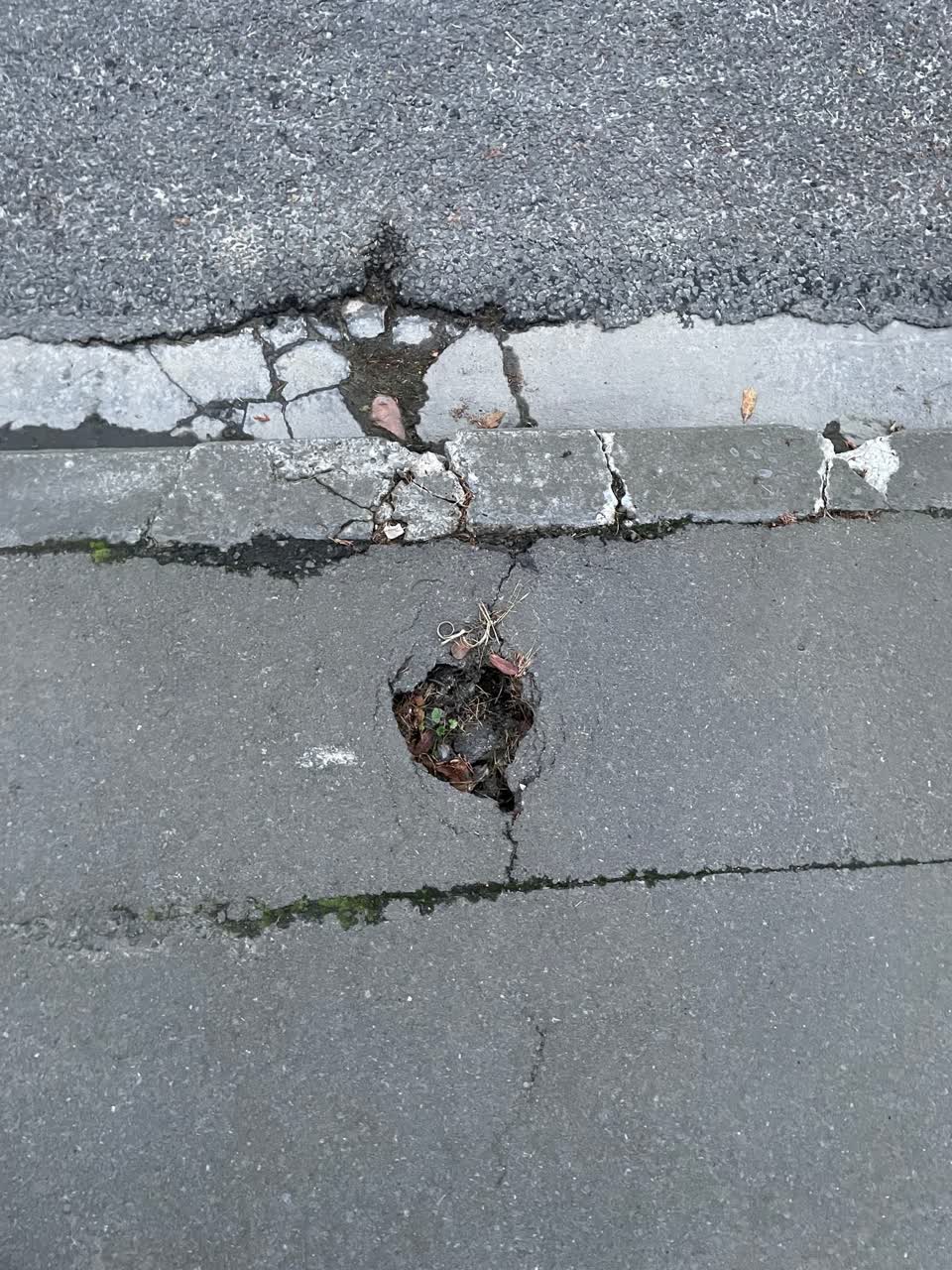The photograph attached to this roading/streets report