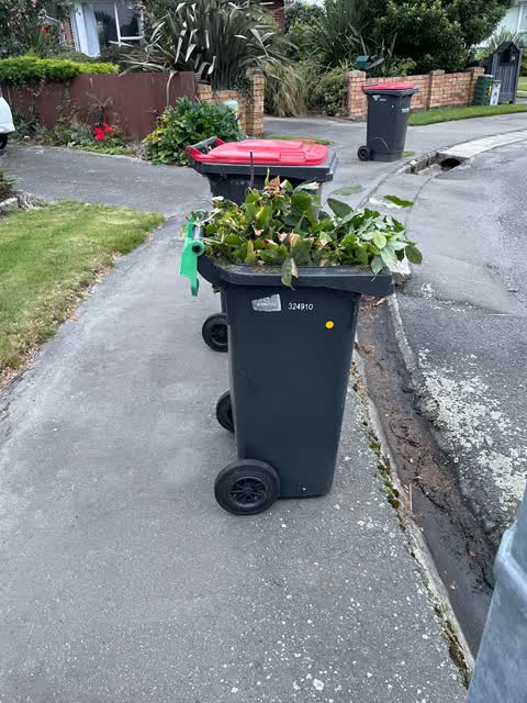 Rubbish/Recycling, a report photo