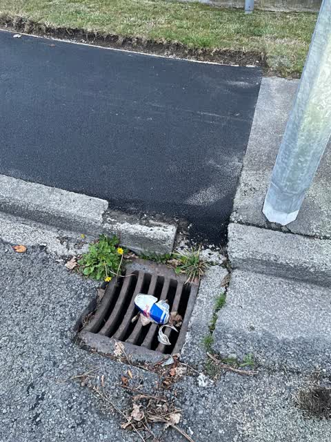 Roading/Streets, a report photo