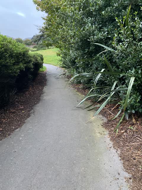 Roading/Streets, a report photo