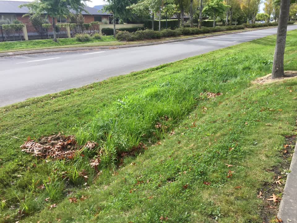 The photograph attached to this flooding report