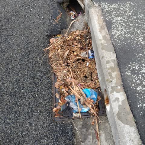 Roading/Streets — a report photo