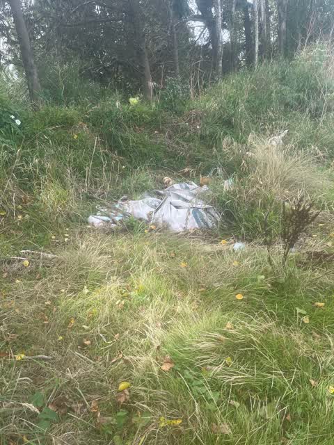 Parks, a report photo