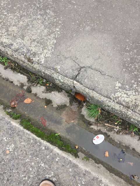 Water Leak, a report photo