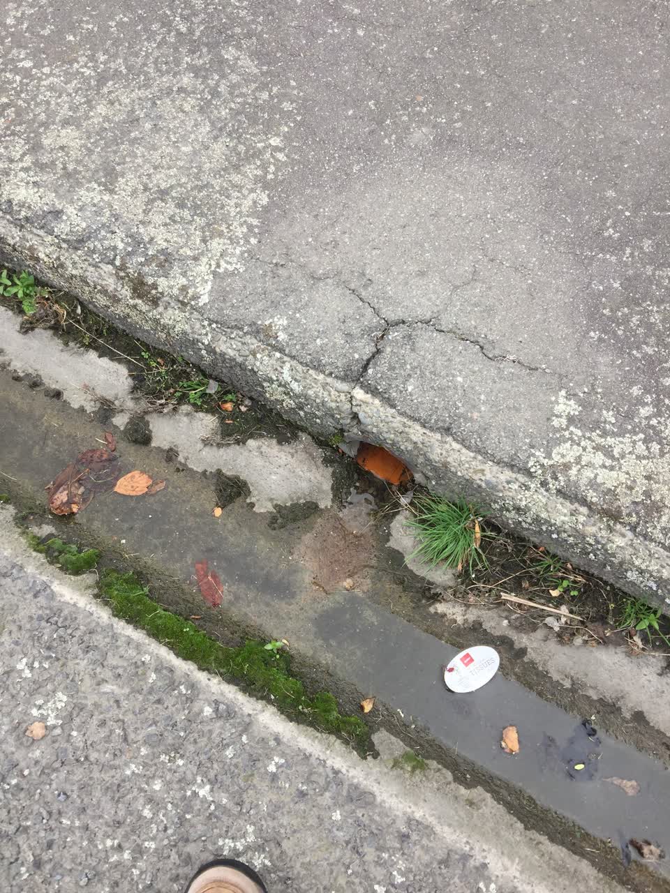 The photograph attached to this water leak report