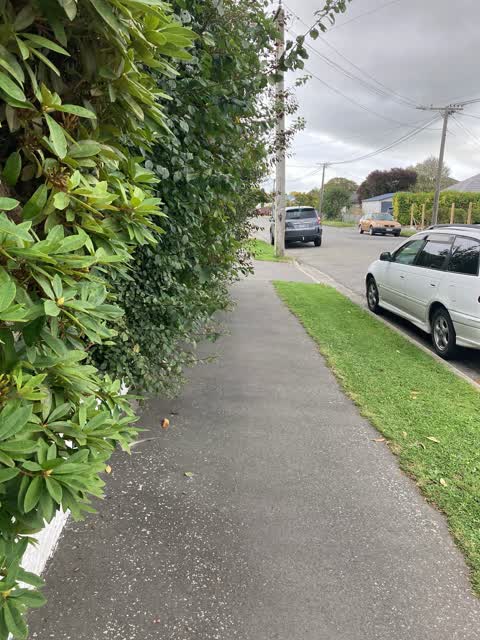 Roading/Streets, a report photo