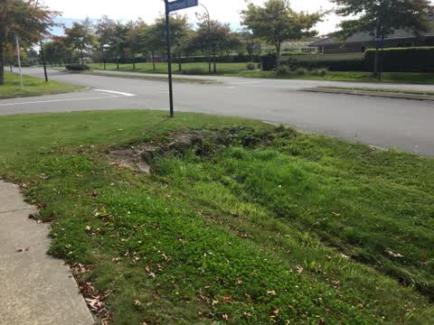 Flooding, a report photo