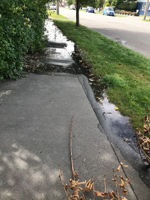 Water Leak, a report photo