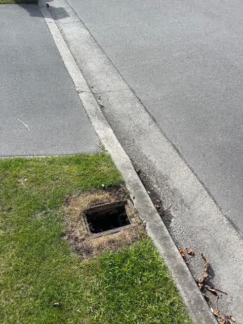 Roading/Streets, a report photo