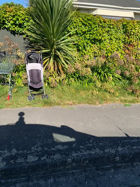 Rubbish/Recycling, a report photo
