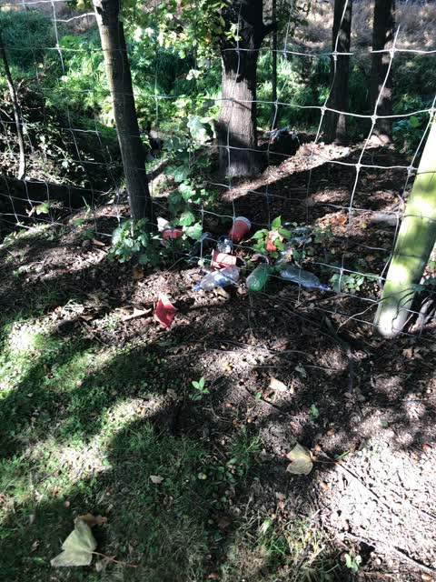 Rubbish/Recycling, a report photo
