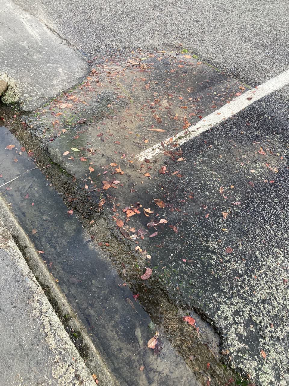 The photograph attached to this water leak report