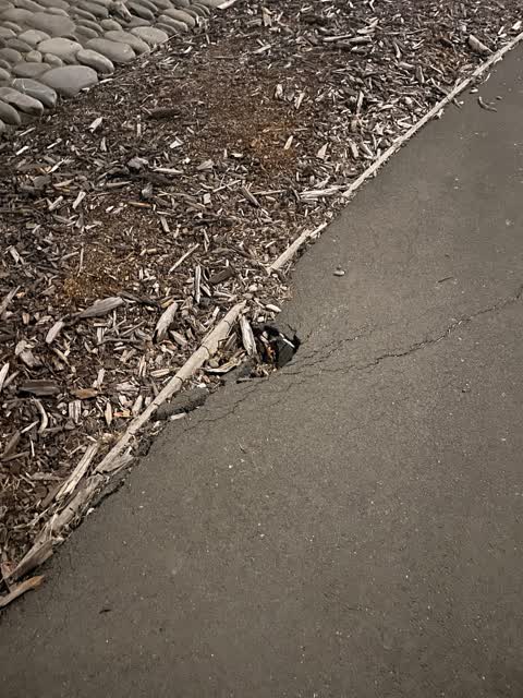 Roading/Streets, a report photo