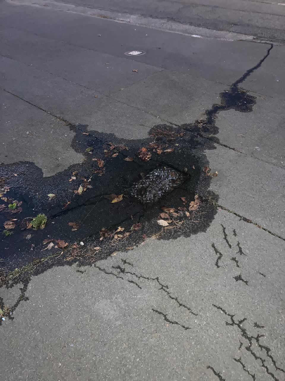 The photograph attached to this water leak report