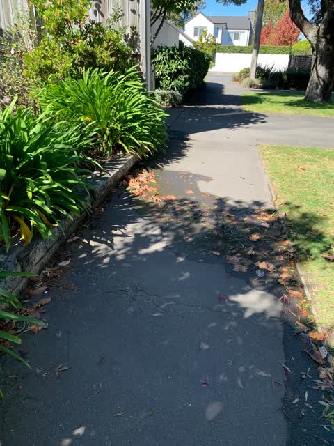 Water Leak, a report photo
