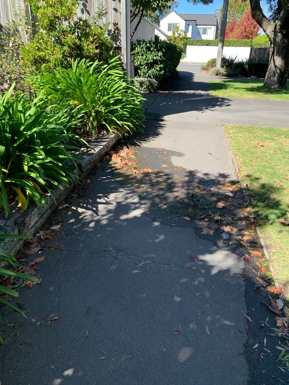 The photograph attached to this water leak report
