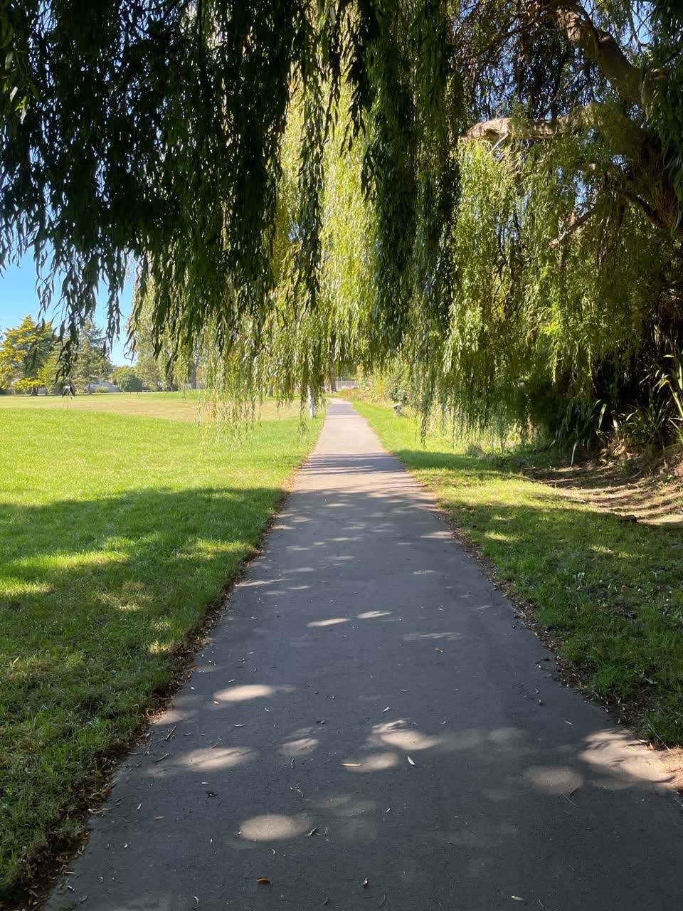 The photograph attached to this parks report