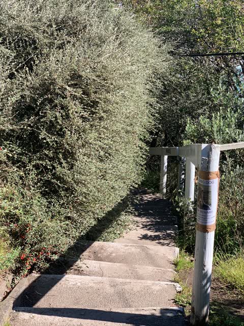 Parks, a report photo